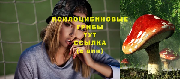 экстази Каменка